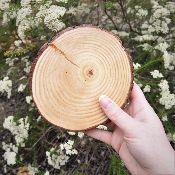 Soulmate Twin Flames Crystal Grid Wood Decor - Picture 3 of 7